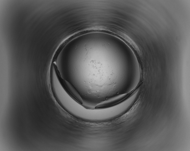 X0000094770988200711161352