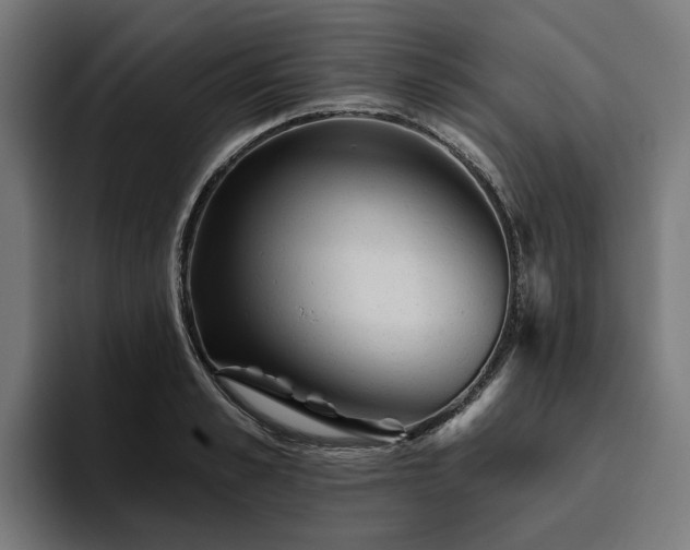 X0000094770989200711161352