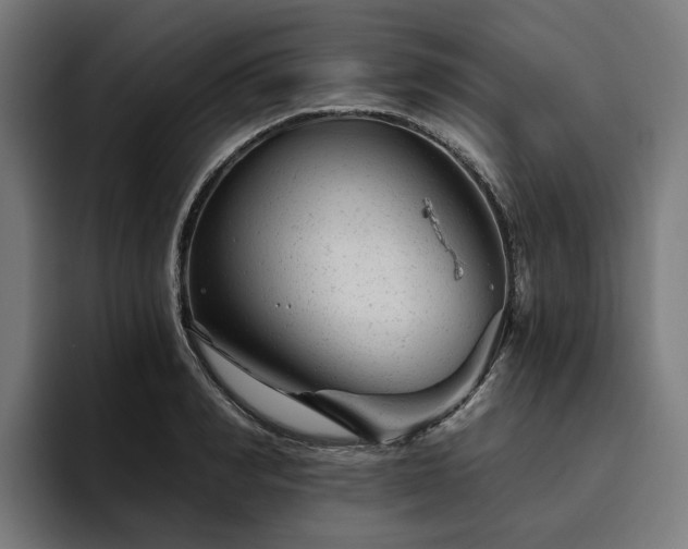 X0000094770990200711161352