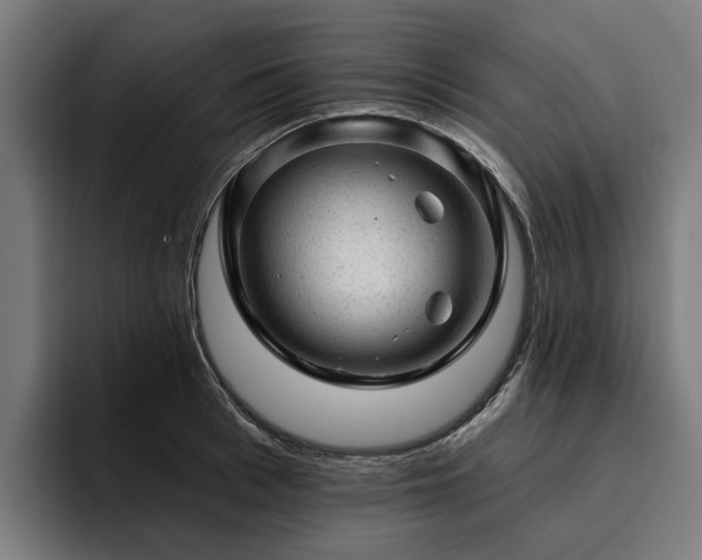 X0000094770993200711161352