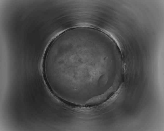 X0000094770995200711161352