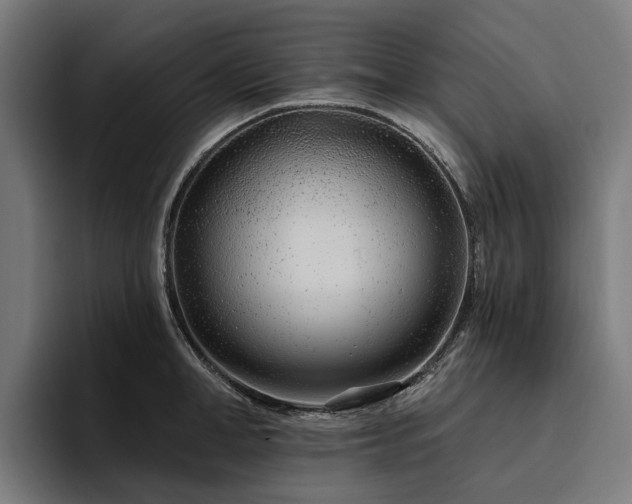 X0000094770998200711161352