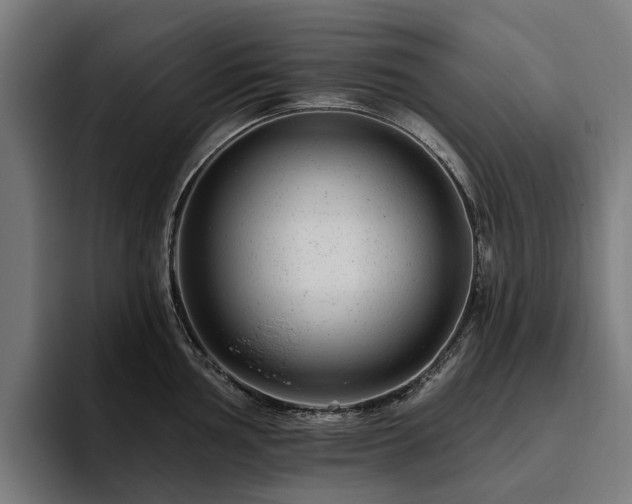 X0000094771002200711161352