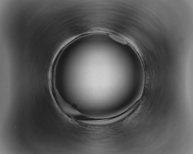 X0000094771003200711161352