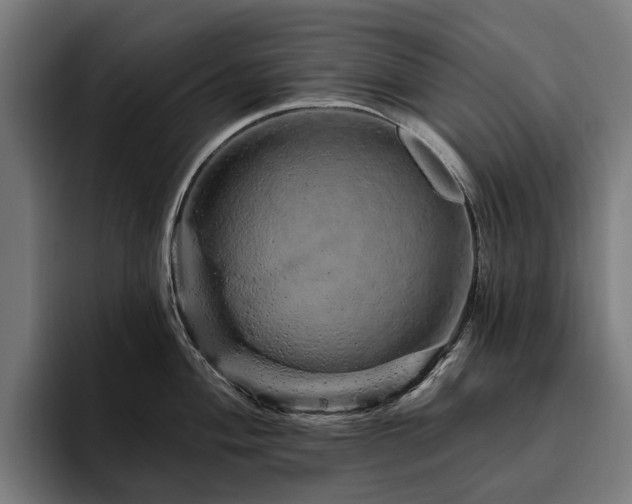 X0000094771004200711161352