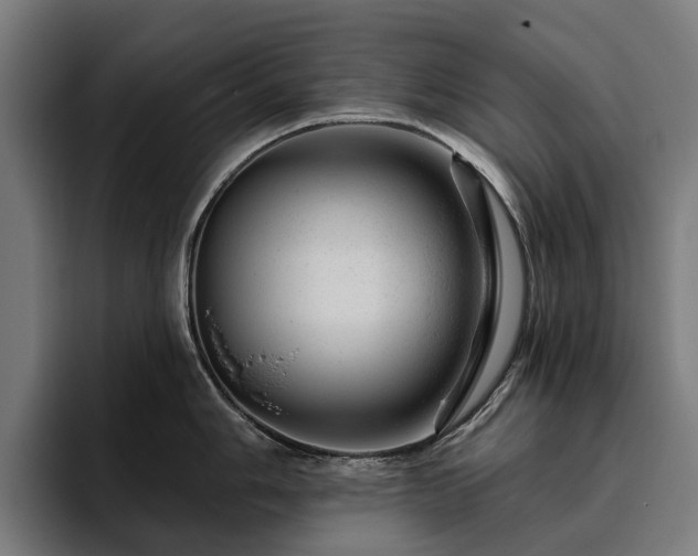 X0000094771006200711161352