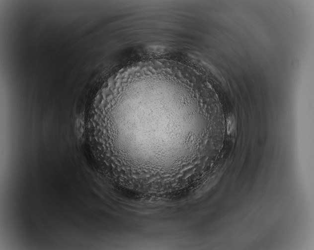 X0000094771011200711161351