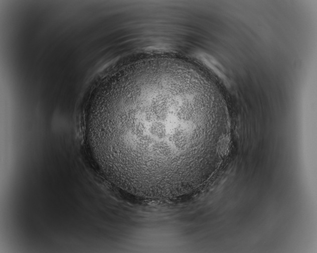 X0000094771015200711161351