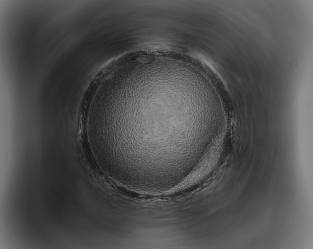 X0000094771016200711161351