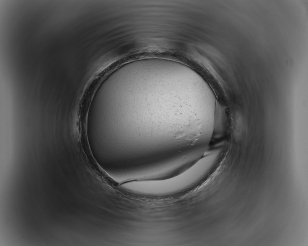 X0000094771018200711161351