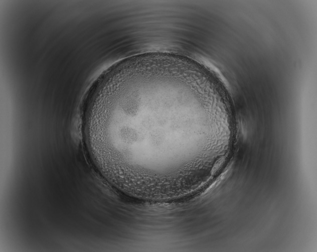 X0000094771019200711161351