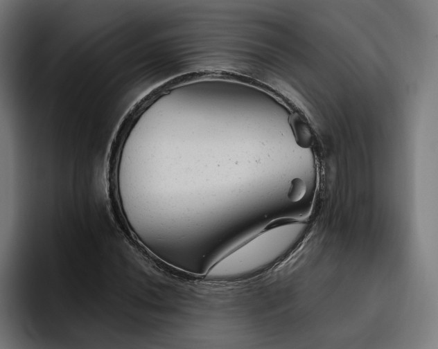 X0000094771020200711161351