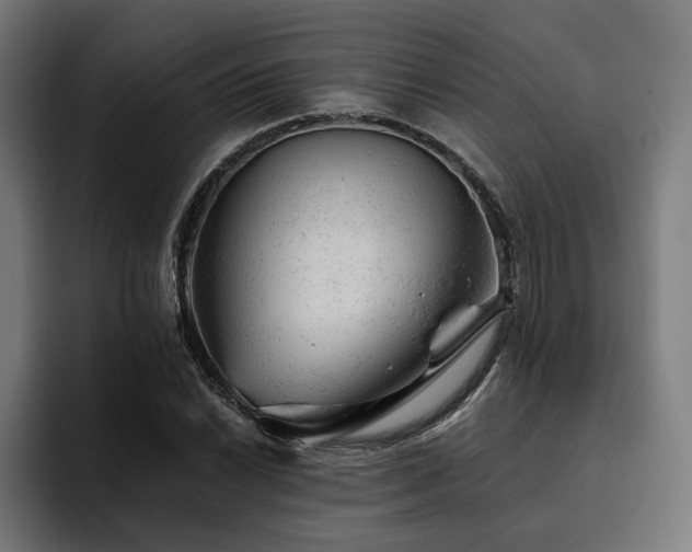 X0000094771022200711161351