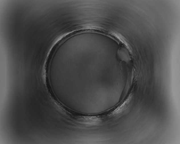 X0000094771024200711161351