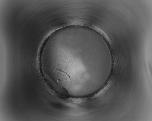 X0000094771027200711161351