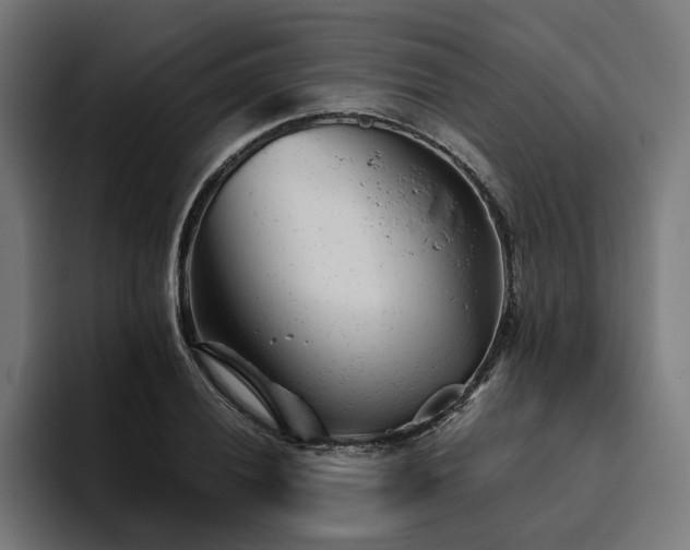 X0000094771028200711161351