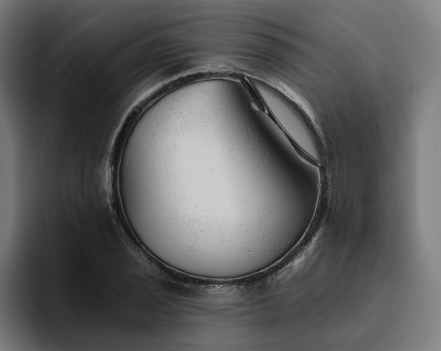 X0000094771029200711161351