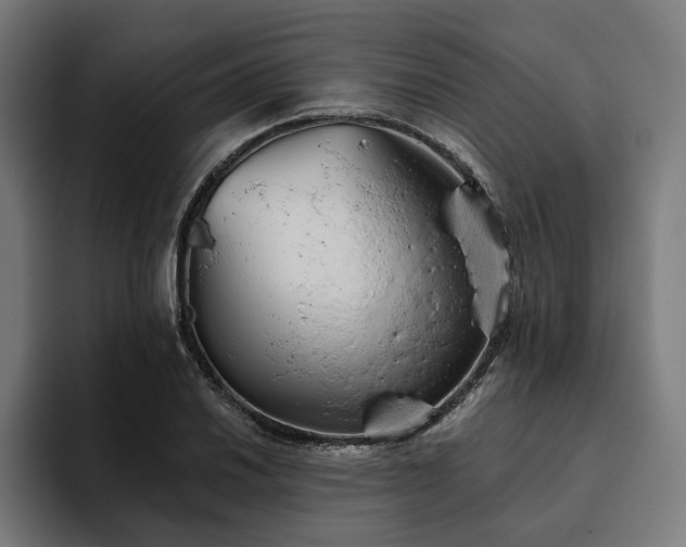 X0000094771030200711161351