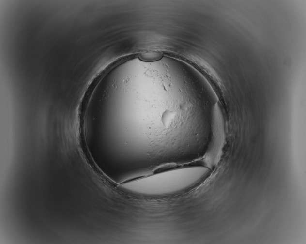 X0000094771031200711161351