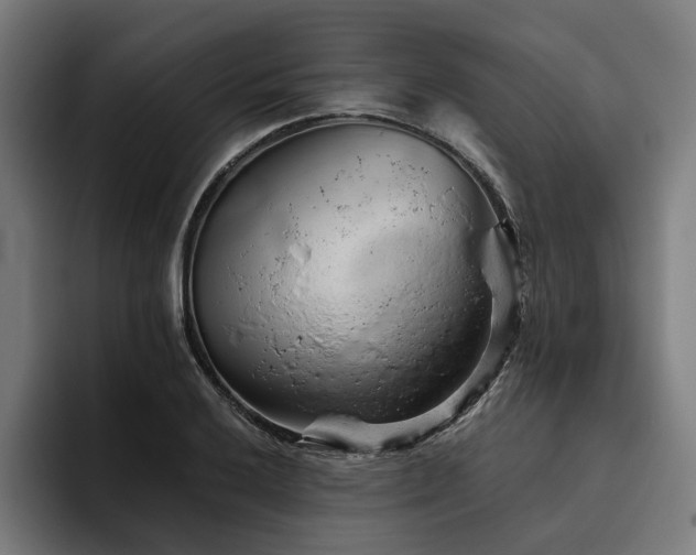 X0000094771032200711161351