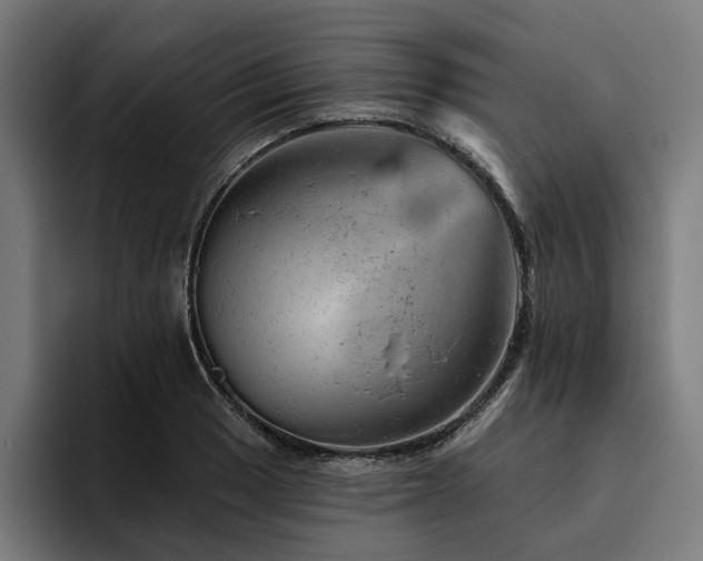 X0000094771033200711161351