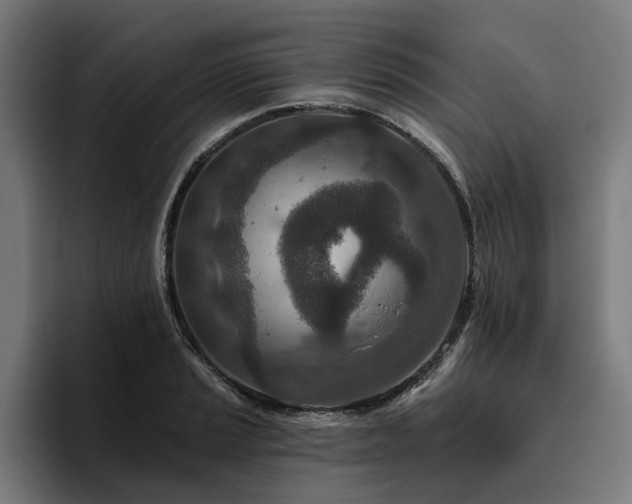 X0000094771037200711161352