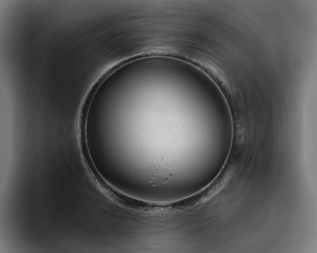 X0000094771038200711161352