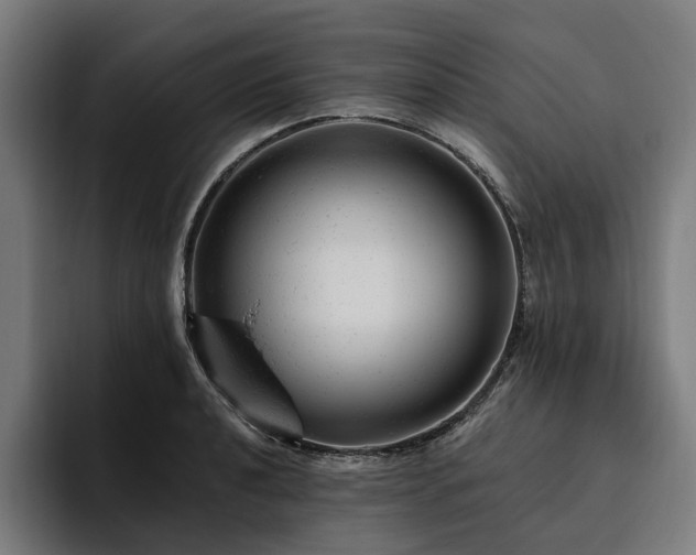 X0000094771040200711161352