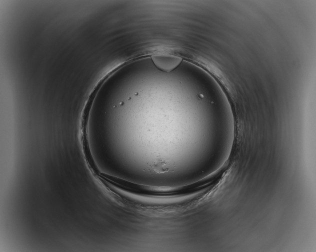 X0000094771042200711161352