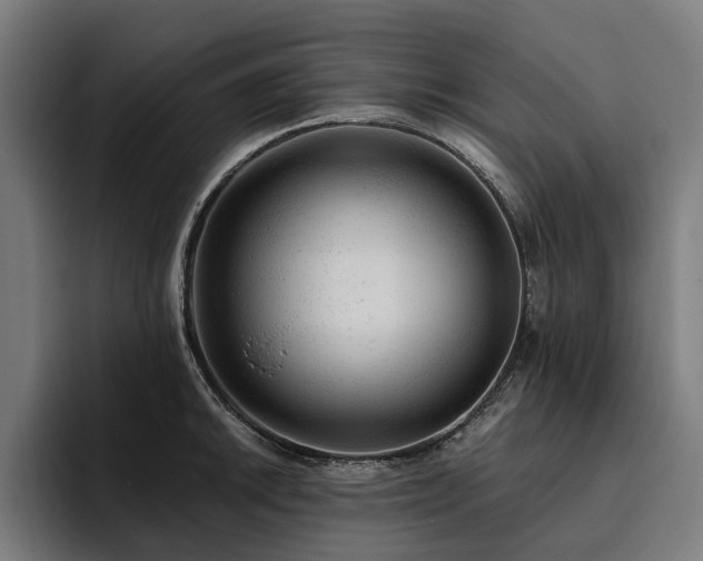 X0000094771046200711161352