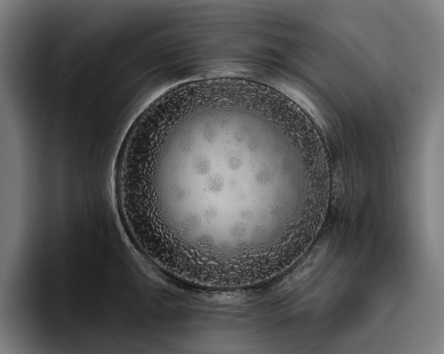 X0000094771047200711161352