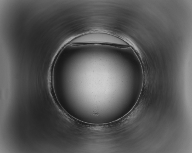 X0000094771048200711161352