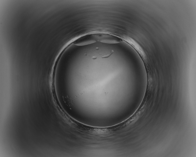 X0000094771052200711161352