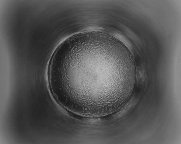 X0000094771055200711161352