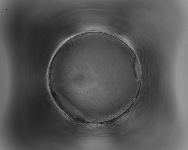 X0000094771056200711161352