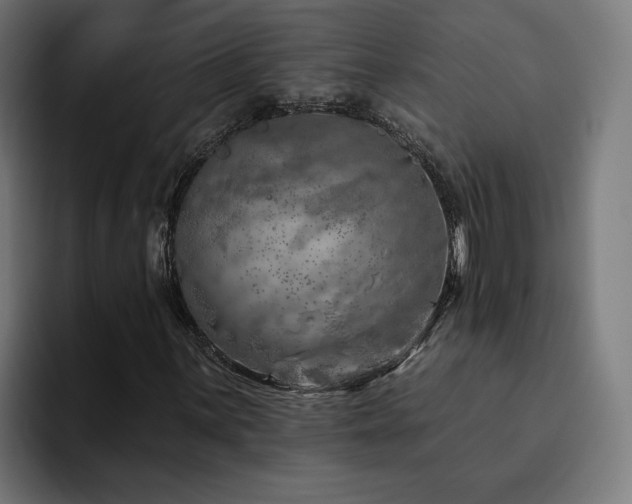 X0000094771059200711161351