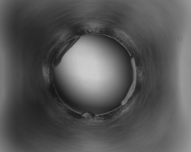 X0000094771060200711161351