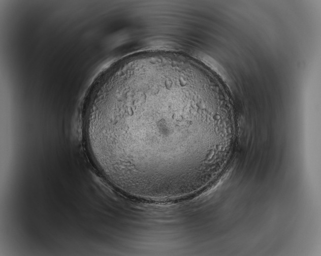 X0000094771067200711161351