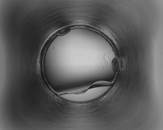 X0000094771068200711161351