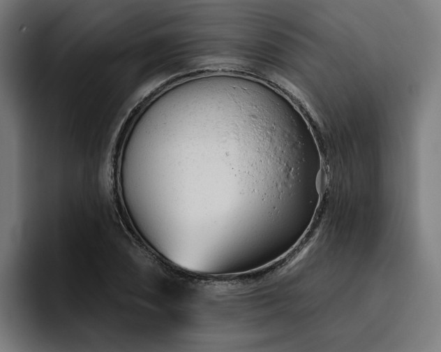 X0000094771074200711161351