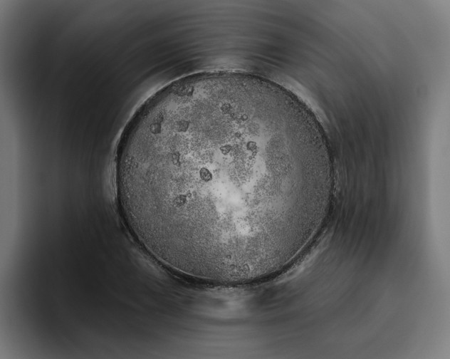 X0000094771075200711161351