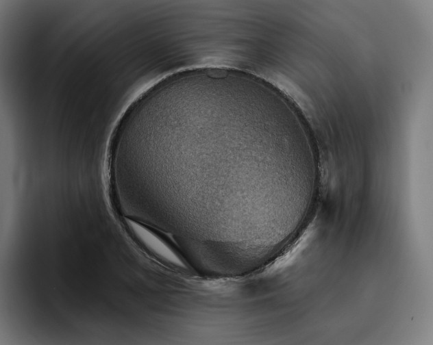 X0000094771077200711161351