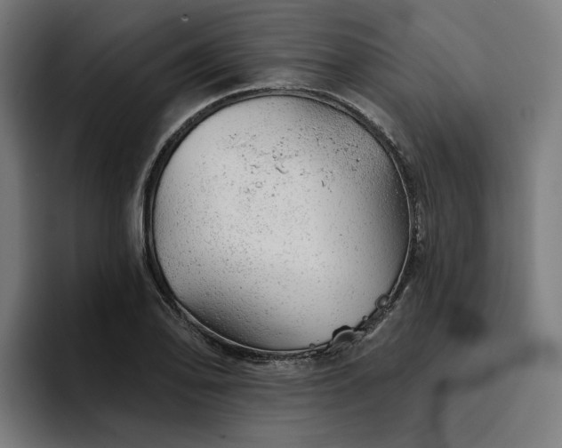 X0000094771078200711161351