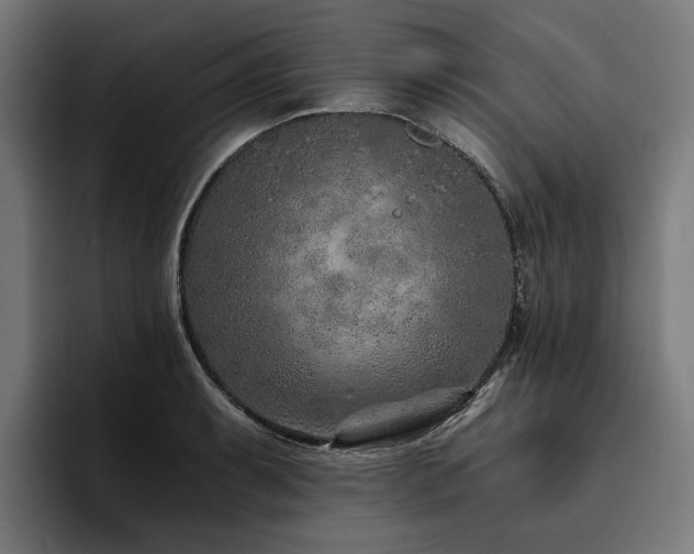 X0000094771087200711161351