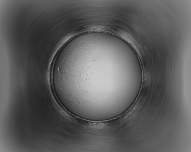 X0000094771090200711161351