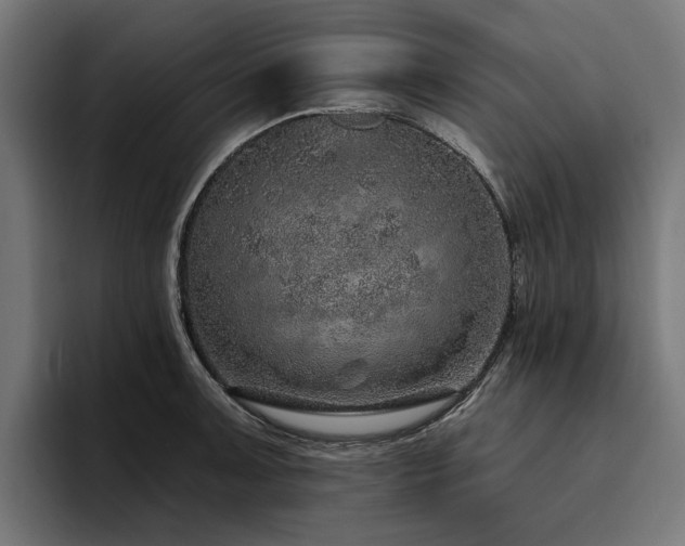 X0000094771091200711161351