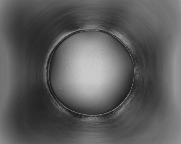 X0000094771094200711161351