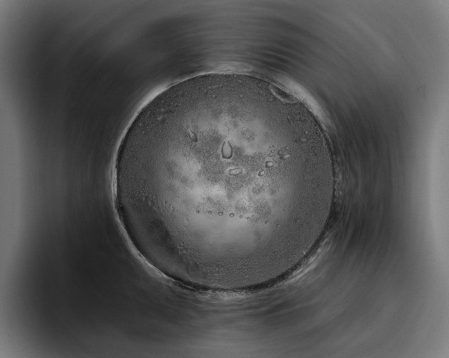 X0000094771095200711161351