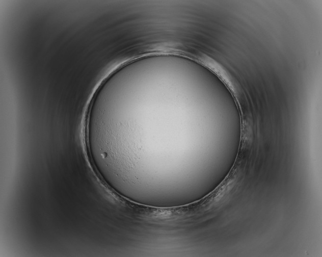 X0000094771098200711161351