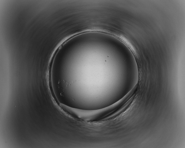 X0000094771100200711161351